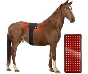 Red Light Therapy Pad and Belt for Dogs and Cats - Portable Wearable Device for Pet Pain Relief and Healing