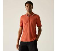 Red male L Regatta Men's Adryan Polo Shirt Red, Size: L
