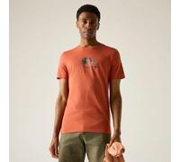 Red male S Regatta Men's Breezed Graphic T-Shirt Red, Size: S