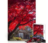 Red Maple Tree Japan 1000 Pieces Jigsaw Puzzles for Adults Mental Logic Toy Serene Time Firm Cut (38x52cm)