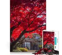 Red Maple Tree Japan 1000 Pieces Jigsaw Puzzles for Adults Mental Logic Toy Serene Time Firm Cut (38x52cm)