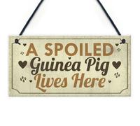 Red Ocean A Spoiled Guinea Pig Lives Here Hanging Plaque Beautiful Handmade Gift Sign For Guinea Pig Owners Friendshiip Gift