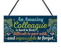 Red Ocean Amazing Colleague Gift Hanging Plaque Friendship Sign Work Thank You Leaving Present Gift For Him Her