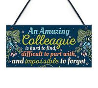 RED OCEAN Amazing Colleague Gift Hanging Plaque Friendship Sign Work Thank You Leaving Present Gift For Him Her