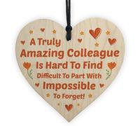 Red Ocean Amazing Colleague Gift Leaving New Job Gift Goodbye Friendship Plaque Keepsake