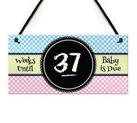 RED OCEAN Baby Due Countdown Chalkboard Pregnancy Gift Hanging Plaque Birth Boy Girl Sign