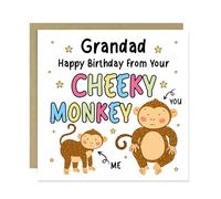 RED OCEAN Birthday Card for Grandad From Your Cheeky Monkey Funny Birthday Cards Envelope Included From Granddaughter Grandson Joke Humour For Grandad