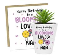 RED OCEAN Birthday For Nan BLOOMING LOVELY NAN Card And Plant Pot Thank You For From Granddaughter Grandson Birthday Card Keepsake