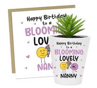 RED OCEAN Birthday For Nanny BLOOMING LOVELY NANNY Card And Plant Pot Thank You For From Granddaughter Grandson Birthday Card Keepsake
