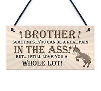RED OCEAN Brother Birthday Gift Brother Hanging Plaque Funny Brother Gift For Him