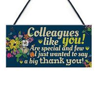 Red Ocean Colleague Gift Plaque Friendship Friend Hanging Sign Thank You Leaving Job Goodbye Work Gift