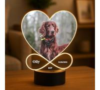 RED OCEAN Dog Memorial Plaque Picture With LED Light Photo Frame Personalised Memorial for Dog Lover Pet Owner Pet Puppy Picture Frame Sign Keepsake