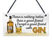 RED OCEAN Friend With GIN Party Drink Gift Cocktail Novelty Alcohol Hanging Plaque Wall Bar Sign Friendship Gift