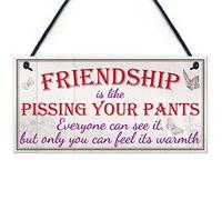 Red Ocean Friendship Pants Best Friend Gift Thank You Funny Hanging Plaque Present Sign