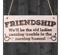 Red Ocean Friendship We'll Be The Old Ladies Causing Trouble In The Nursing Homes Novelty Wooden Plaque Friends Gift Sign