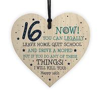 RED OCEAN Funny 16th Birthday Gift Hanging Wood Heart 16th Birthday Daughter Son