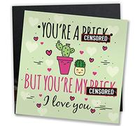RED OCEAN Funny Anniversary Card Rude Birthday Valentines Card Gift For Boyfriend or Husband Relationship Gifts