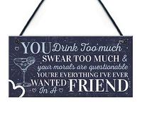 Red Ocean Funny Best Friend Friendship Sign Drink Too Much Alcohol Gin Vodka Birthday Gift Plaque