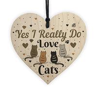 RED OCEAN Funny Cat Sign For Home Wooden Heart Friendship Gift Pet Lover Plaque Keepsake