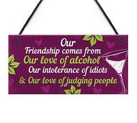 RED OCEAN Funny Friendship Gifts For Women Birthday Hanging Plaque Alcohol Sign Keepsake