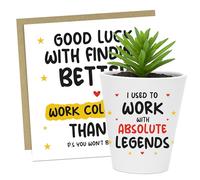 RED OCEAN Funny Gift For Colleague Plant Pot And Card New Job Gift Leaving Card For Colleague Him Her Co Worker Present Joke Colleagues