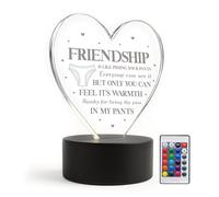 Red Ocean Funny Rude Friendship Plaque LED Light Novelty Best Friend For Birthday Christmas Joke For Her Him Bestie Keepsake