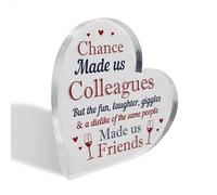 Red Ocean Gift For Colleague For Biirthday Christmas Acrylic Plaque Funny Colleague Gifts Chance Made Us Colleagues Plaque Gift For Him Her Leaving Job New Job Gift Keepsake