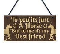 Red Ocean Gift For Horse Lovers Best Friend Hanging Stable Door Bedroom Sign Horse Birthday Gift For Girls Women