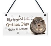 RED OCEAN Guinea Pig Sign Handmade Gift Sign For Guinea Pig Owners Cute Pet Gifts