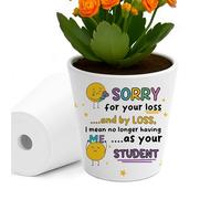 RED OCEAN Leaving Gift For Teacher Plant Pot 10cm x 9cm Sorry For Your Loss Teacher Gift From Student Funny Leaving Teaching Assistant Classroom Gifts Him Her
