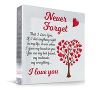 Red Ocean Never Forget That I Love You Gift For Boyfriend Girlfriend Husband Wife Soulmate My Everything Gift For Anniversary Valentines Day Him Her Couple Romantic