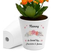 RED OCEAN Personalised Nanny Gifts For Birthday Christmas Plant Pot Nanny Is Loved By Gifts For From Grandchildren Unique Garden Gift Ideas