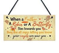 RED OCEAN Robin Memorial Hanging Plaque Garden Sign Rememberance Bereveavement Family Grave Gift
