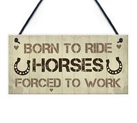 RED OCEAN Signs About Horses Funny Horse Sign Horse Gift Pet Sign Horse Lover Gift Funny Pet Sign