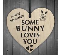 RED OCEAN Some Bunny Loves You Novelty Wooden Hanging Heart Plaque Love Anniversary