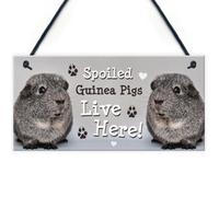 Red Ocean Spoiled Guinea Pigs Live Here Handmade Gift Sign For Guinea Pig Owners Pet Gift