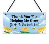Red Ocean Teacher Thank You Plaque - Teacher Appreciation Gifts From Students - End Of Term Present Leaving School Teacher Gifts