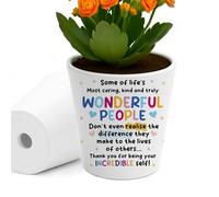 RED OCEAN Thank You Gift For Someone Special Incredible Person Teacher Volunteer Tutor Mentor Friends Family Plant Pot 10cm x 9cm Thank You Gift For Teaching Assistant Mentor Nurse Doctor