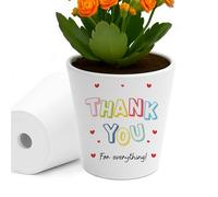 RED OCEAN Thank You Gift For Someone Special Thank You For Everything Teacher Volunteer Tutor MentorFriends Family Plant Pot 10cm x 9cm Gift Teaching Assistant Mentor Nurse Doctor