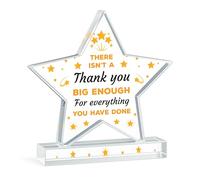 Red Ocean Thank You Gift For Teacher Colleague Friend Co Worker Volunteer Big Thank You Gift Star Plaque For Men Women Friendship Keepsake