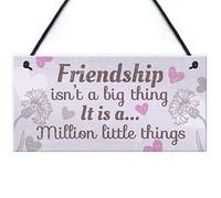 RED OCEAN Thank You Gift Friendship Sign Birthday Keepsake Gift Hanging Wall Plaque Gifts For Women