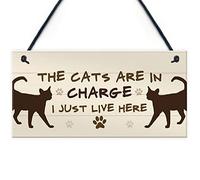 RED OCEAN The Cats Are In Charge Hanging Sign Funny Cat Gift Home Decor Gift For Women