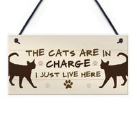 Red Ocean The Cats Are In Charge Hanging Sign Funny Cat Gift Home Decor Gift For Women