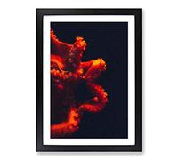 Red Octopus Framed Print | A2 Black Framed Wall Art | Ready to Hang | Modern Animal Picture | Living Room Bedroom Lounge Office