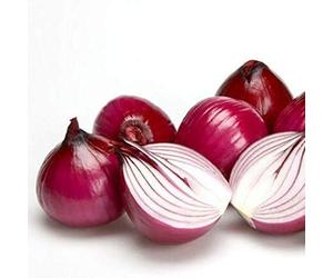 Red Onions Seeds, 50 Heirloom Seeds, Non GMO Seeds, Organic-Delicious Spicy Red Onion Seeds Vegetable Seeds Premium Plant Seeds for Planting Kitchen Garden Indoor Outdoor Red Onion Seeds