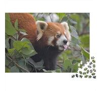 Red Panda 1000 Piece Adult Jigsaw Puzzles Cute Little Panda Festive Gifts Family Challenging Educational Games Home Decoration for Adults And Kids Age 12 Years Up 1000pcs (75x50cm)