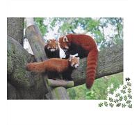 Red Panda 1000 Piece Adult Jigsaw Puzzles Cute Little Panda Jigsaws Challenging Game Family Challenging Educational Challenge Home Decoration for Adults Gifts Ideas 1000pcs (75x50cm)
