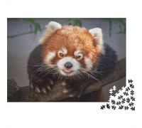Red Panda 1000 Piece Adult Jigsaw Puzzles Cute Little Panda Jigsaws Challenging Game Family Challenging Educational Challenge Home Decoration for Home Decoration Gifts 1000pcs (75x50cm)