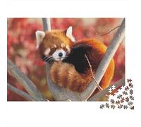 Red Panda 1000 Piece Adult Jigsaw Puzzles Cute Little Panda Jigsaws Challenging Game Family Challenging Educational Challenge Home Decoration for Adults Gifts Ideas 1000pcs (75x50cm)