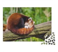 Red Panda 1000 Piece Jigsaw Puzzles for Adults Cute Little Panda Jigsaws Challenging Game Family Challenging Educational Games Home Decoration for Adults Gifts Ideas 1000pcs (75x50cm)